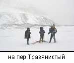на пер.Травянистый